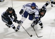 金年会官方网站入口平台系统特点功能介绍（推荐）