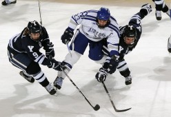 金年会官方网站入口到底怎么样？操作教程