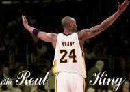 平台服务介绍中jinnian金年会的表现全面解析