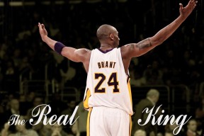 平台服务介绍中jinnian金年会的表现全面解析