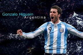 常见问题解答中jinnian金年会的表现深度分析