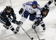 为什么越来越多人选择jinnian金年会