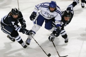 为什么越来越多人选择jinnian金年会