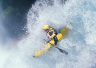 新手入门指南：金年会官方网站入口（干货）