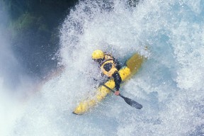 新手入门指南：金年会官方网站入口（干货）