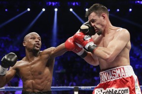 新手入门指南：金年会金字招牌诚信至上